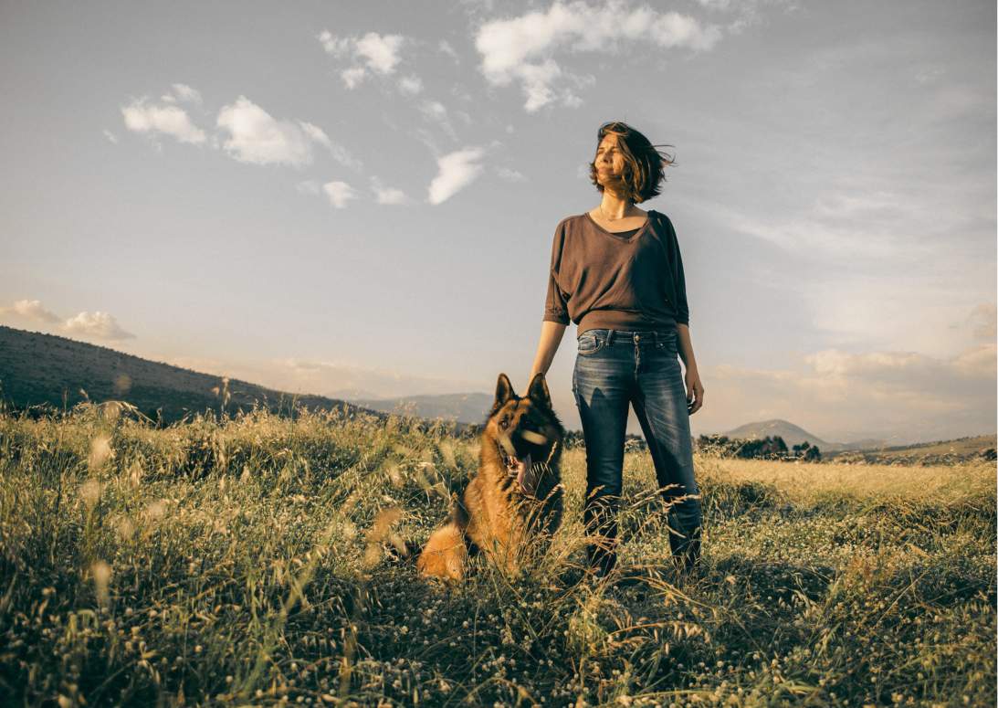 Deinen Hund besser kennenlernen